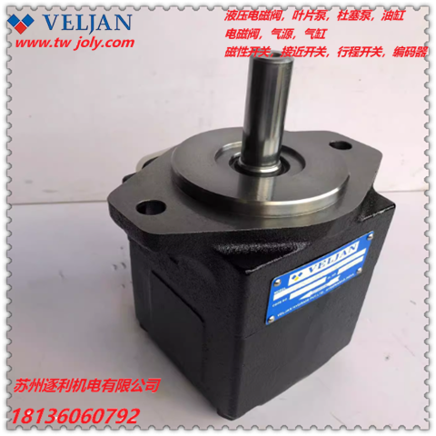 VELJAN維京雙聯葉片泵VT6CC-012-005-1R13-C1-W1-N0P液壓泵