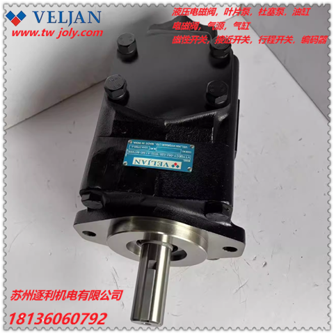 VELJAN維京液壓泵VT6DC-045-0281R00B1雙聯葉片泵油泵